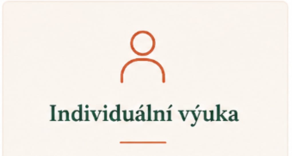 individualni vyuka